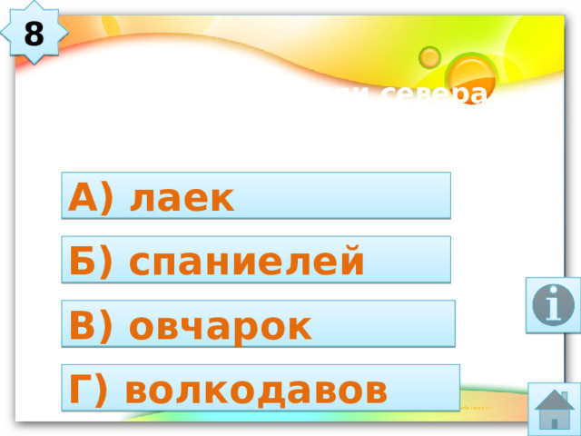 8 Каких собак жители севера запрягают в упряжку? А) лаек Б) спаниелей В) овчарок Г) волкодавов 