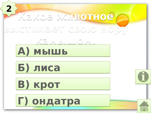 2 Какое животное выстилает свою нору камышом. А) мышь Б) лиса В) крот Г) ондатра 