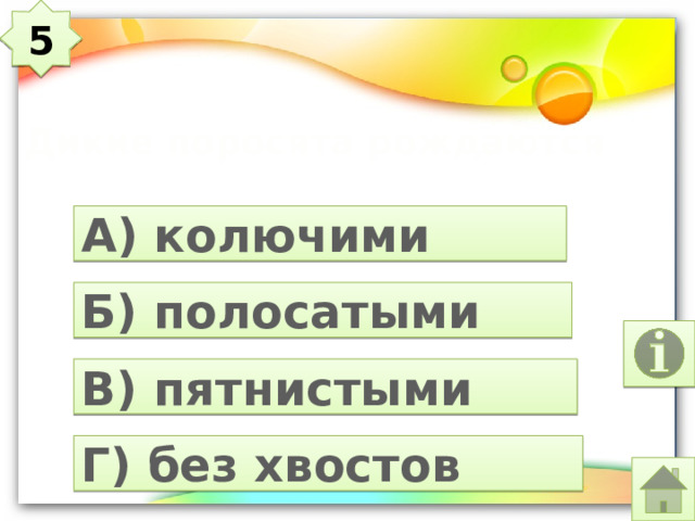 5 Дикие поросята рождаются А) колючими Б) полосатыми В) пятнистыми Г) без хвостов 