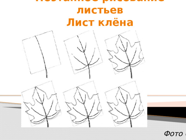 Поэтапное рисование листьев  Лист клёна                                 Фото 6 