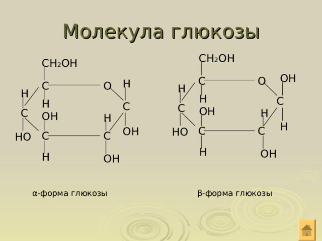 Молекула глюкозы СН 2 ОН СН 2 ОН ОН С О Н О С Н Н Н С Н С С ОН С Н ОН Н Н С С ОН НО С С НО Н ОН Н ОН β -форма глюкозы α -форма глюкозы 