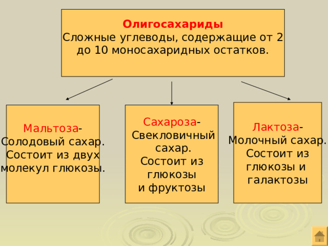 Олигосахариды Сложные углеводы, содержащие от 2 до 10 моносахаридных остатков. Лактоза - Молочный сахар. Состоит из глюкозы и галактозы Мальтоза - Сахароза - Солодовый сахар. Состоит из двух молекул глюкозы.  Свекловичный  сахар.  Состоит из глюкозы и фруктозы 