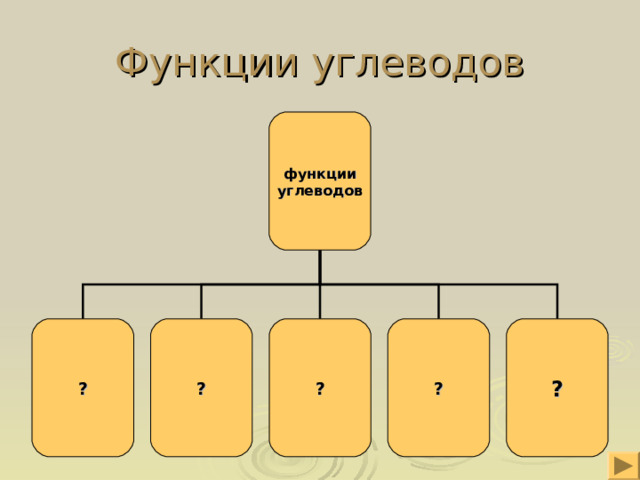 Функции углеводов функции углеводов ? ? ? ? ? 