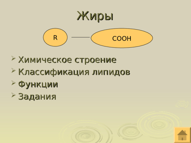 Жиры R C ООН Химическое строение Классификация липидов Функции Задания  О  