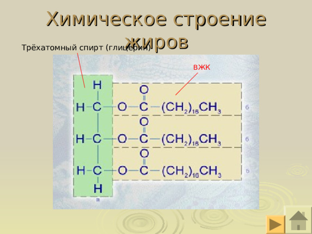 Химическое строение жиров Трёхатомный спирт (глицерин) ВЖК 