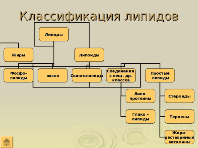 Классификация липидов Липиды Жиры Липоиды Фосфо- липиды воски Свинголипиды Соединения с вещ. др. классов Простые  липиды Липо- протеины Стероиды Глико – липиды Терпены Жиро- растворимые витамины 
