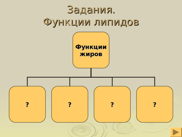 Задания. Функции липидов Функции жиров ? ? ? ? 