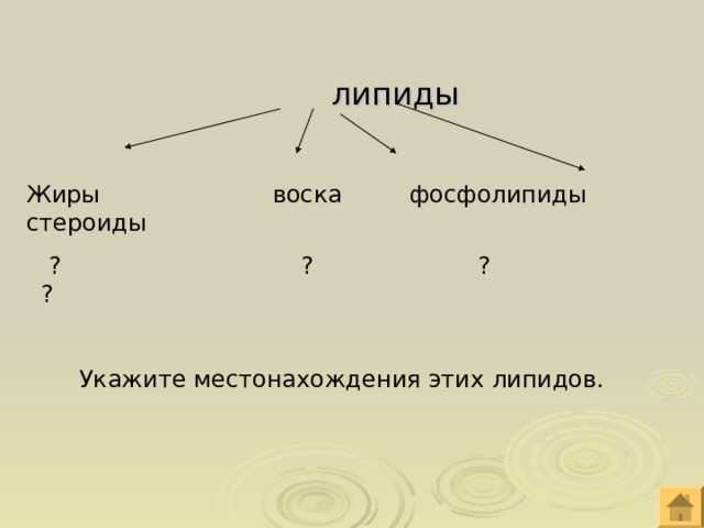  липиды Жиры воска фосфолипиды стероиды  ? ? ? ?  Укажите местонахождения этих липидов. 