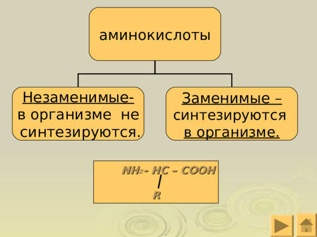 аминокислоты Незаменимые- в организме не  синтезируются.  Заменимые – синтезируются в организме.   NH 2 - HC – COOH   R 