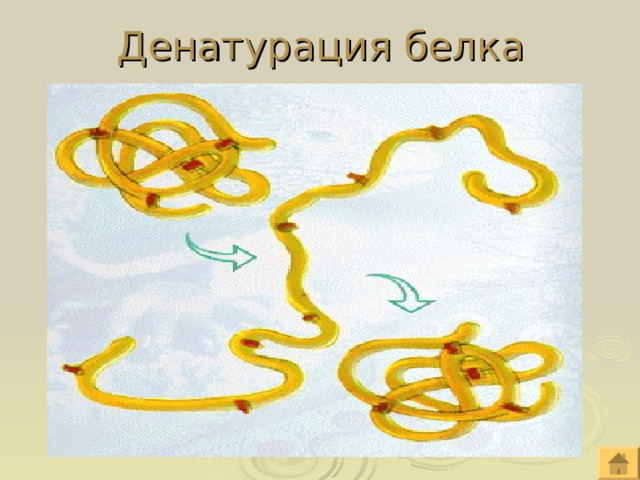 Денатурация белка 