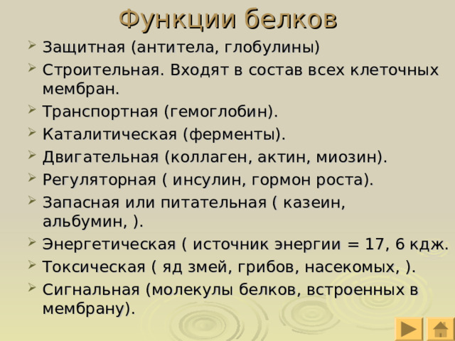 Функции белков Защитная (антитела, глобулины) Строительная. Входят в состав всех клеточных мембран. Транспортная (гемоглобин). Каталитическая (ферменты). Двигательная (коллаген, актин, миозин). Регуляторная ( инсулин, гормон роста). Запасная или питательная ( казеин, альбумин, ). Энергетическая ( источник энергии = 17, 6 кдж. Токсическая ( яд змей, грибов, насекомых, ). Сигнальная (молекулы белков, встроенных в мембрану). 