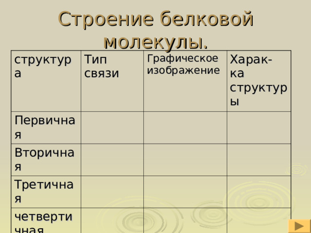 Строение белковой молекулы. структура Тип связи Первичная Графическое изображение Вторичная Харак- ка структуры Третичная четвертичная 