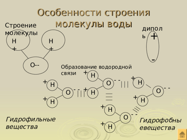 Особенности строения молекулы воды Строение молекулы диполь + Н+ Н+ - О-- Образование водородной связи + Н + - - + Н О Н - - + - - О О Н + + Н Н + Н - - О Гидрофильные вещества Гидрофобныевещества + Н 