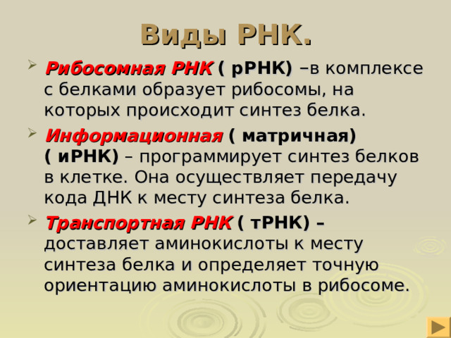 Виды РНК. Рибосомная РНК ( рРНК) – в комплексе с белками образует рибосомы, на которых происходит синтез белка. Информационная ( матричная) ( иРНК) – программирует синтез белков в клетке. Она осуществляет передачу кода ДНК к месту синтеза белка. Транспортная РНК ( тРНК) – доставляет аминокислоты к месту синтеза белка и определяет точную ориентацию аминокислоты в рибосоме. 