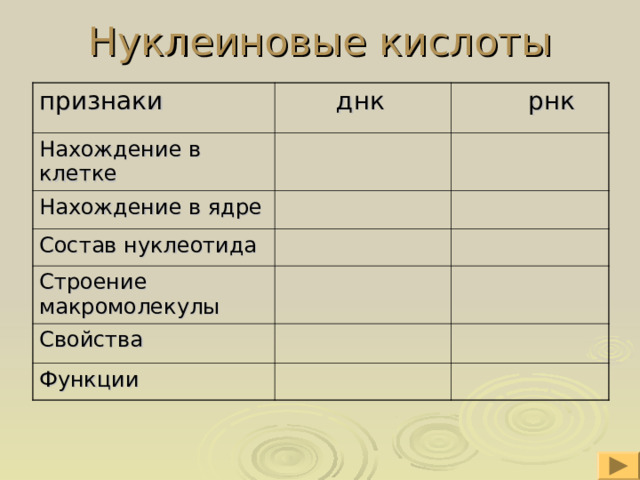 Нуклеиновые кислоты признаки  днк Нахождение в клетке  рнк Нахождение в ядре Состав нуклеотида Строение макромолекулы Свойства Функции 