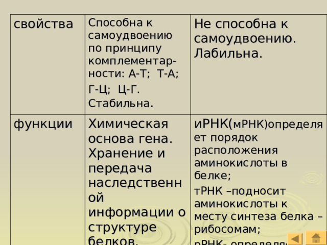 свойства Способна к самоудвоению по принципу комплементар-ности: А-Т; Т-А; Г-Ц; Ц-Г. Стабильна . функции Не способна к самоудвоению. Лабильна. Химическая основа гена. Хранение и передача наследственной информации о структуре белков. иРНК( мРНК)определяет порядок расположения аминокислоты в белке; тРНК –подносит аминокислоты к месту синтеза белка –рибосомам; рРНК- определяет структуру рибосом. 