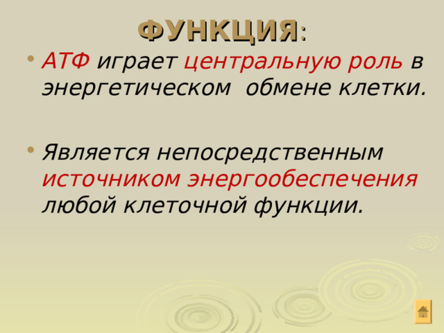 ФУНКЦИЯ : АТФ играет центральную роль в энергетическом обмене клетки. АТФ играет центральную роль в энергетическом обмене клетки.   Является непосредственным источнико м энергообеспечения любой клеточной функции. Является непосредственным источнико м энергообеспечения любой клеточной функции.   