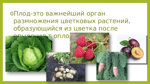 Плод-это важнейший орган размножения цветковых растений, образующийся из цветка после опыления т оплодотворения 