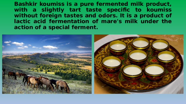 Bashkir koumiss is a pure fermented milk product, with a slightly tart taste specific to koumiss without foreign tastes and odors. It is a product of lactic acid fermentation of mare's milk under the action of a special ferment. 