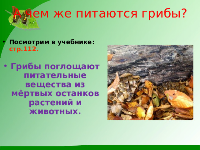 А чем же питаются грибы?   Посмотрим в учебнике: стр.112.  Грибы поглощают питательные вещества из мёртвых останков растений и животных.  
