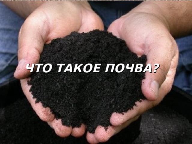 ЧТО ТАКОЕ ПОЧВА? 