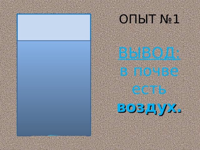 ОПЫТ №1 ВЫВОД: в почве есть воздух. 