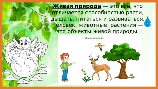 Живая природа — это всё, что отличается способностью расти, дышать, питаться и развиваться. Человек, животные, растения — это объекты живой природы. 