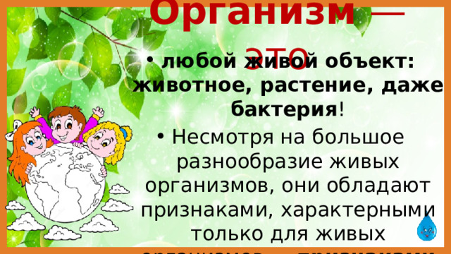 Организм —это любой живой объект: животное, растение, даже бактерия ! Несмотря на большое разнообразие живых организмов, они обладают признаками, характерными только для живых организмов — признаками жизни . 