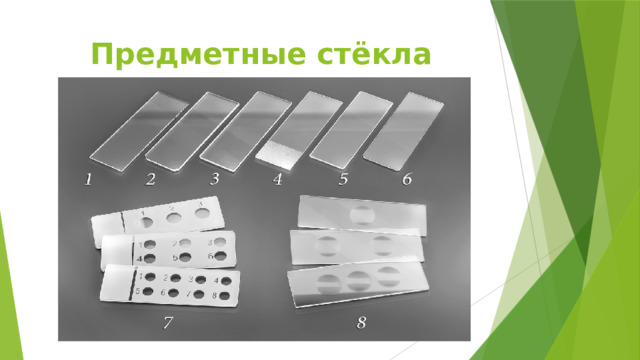 Техника безопасности на уроках биологии 5 класс картинки