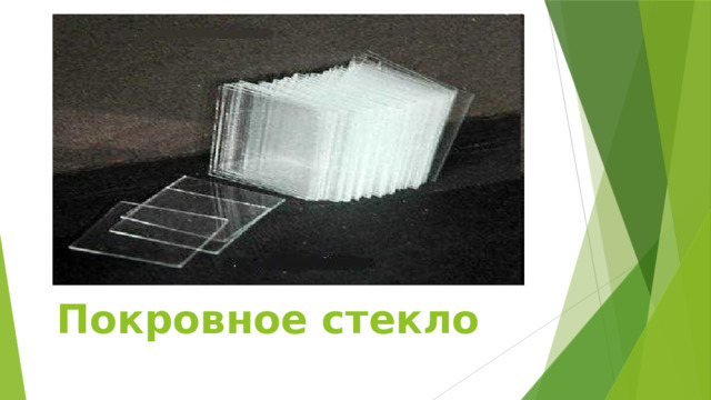 Техника безопасности на уроках биологии 5 класс картинки