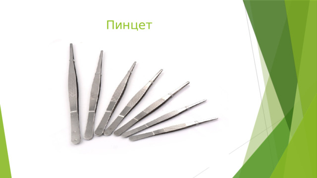 Техника безопасности на уроках биологии 5 класс картинки