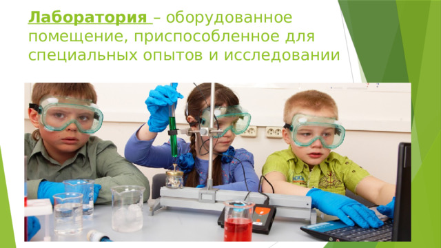 Техника безопасности на уроках биологии 5 класс картинки