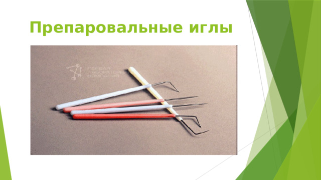 Техника безопасности на уроках биологии 5 класс картинки