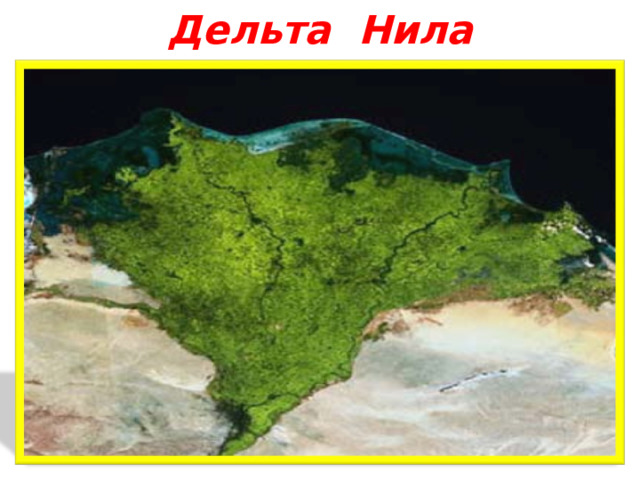 Дельта Нила 