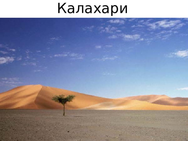 Калахари 