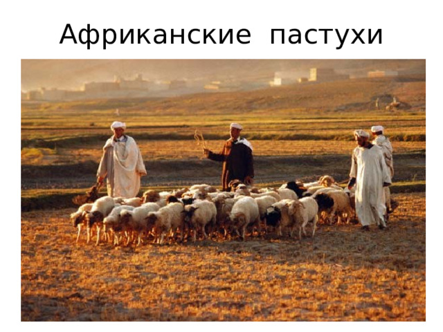 Африканские пастухи 