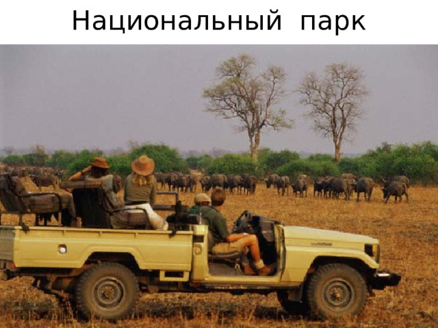 Национальный парк 