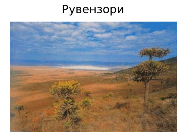 Рувензори 