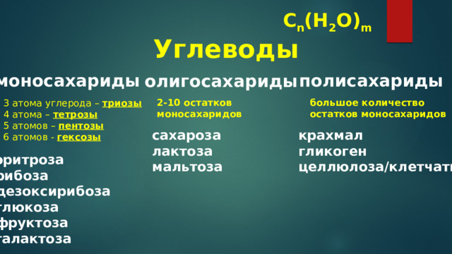 C n (H 2 O) m Углеводы моносахариды полисахариды олигосахариды 2-10 остатков большое количество моносахаридов остатков моносахаридов 3 атома углерода – триозы 4 атома – тетрозы 5 атомов – пентозы 6 атомов - гексозы сахароза крахмал лактоза гликоген мальтоза целлюлоза/клетчатка   эритроза рибоза дезоксирибоза глюкоза фруктоза галактоза  