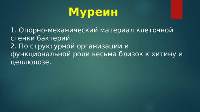 Муреин  1. Опорно-механический материал клеточной стенки бактерий. 2. По структурной организации и функциональной роли весьма близок к хитину и целлюлозе. 