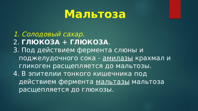 Мальтоза   Солодовый сахар .  ГЛЮКОЗА + ГЛЮКОЗА .  Под действием фермента слюны и поджелудочного сока - амилазы крахмал и гликоген расщепляется до мальтозы.  В эпителии тонкого кишечника под действием фермента мальтазы мальтоза расщепляется до глюкозы. 