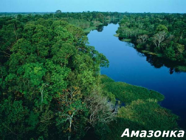 Амазонка 