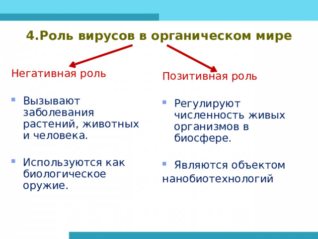 4.Роль вирусов в органическом мире Негативная роль Вызывают заболевания растений, животных и человека. Используются как биологическое оружие. Позитивная роль Регулируют численность живых организмов в биосфере. Являются объектом нанобиотехнологий 