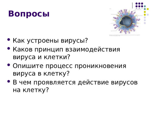 Вопросы Как устроены вирусы? Каков принцип взаимодействия вируса и клетки? Опишите процесс проникновения вируса в клетку? В чем проявляется действие вирусов на клетку? 