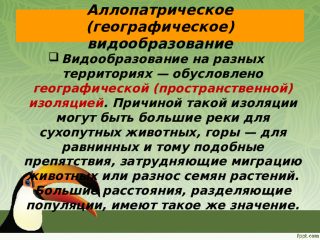 Аллопатрическое (географическое) видообразование Видообразование на разных территориях — обусловлено географической (пространственной) изоляцией . Причиной такой изоляции могут быть большие реки для сухопутных животных, горы — для равнинных и тому подобные препятствия, затрудняющие миграцию животных или разнос семян растений. Большие расстояния, разделяющие популяции, имеют такое же значение. 