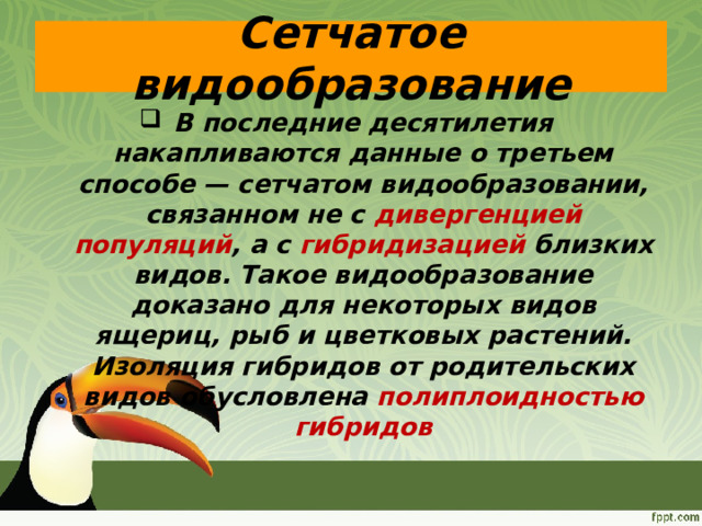 Сетчатое видообразование В последние десятилетия накапливаются данные о третьем способе — сетчатом видообразовании, связанном не с дивергенцией популяций , а с гибридизацией близких видов. Такое видообразование доказано для некоторых видов ящериц, рыб и цветковых растений. Изоляция гибридов от родительских видов обусловлена полиплоидностью гибридов 