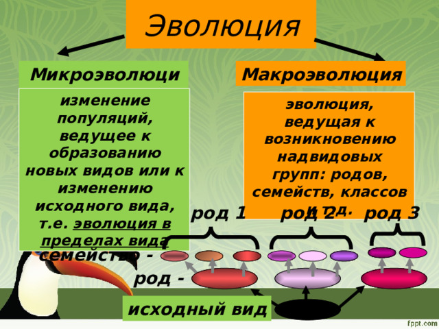 Макроэволюция презентация 11 класс. Микроэволюция современные представления о видообразовании. Материал для микроэволюции. К чему ведет микроэволюция.