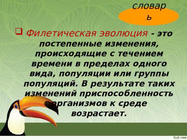 словарь  Филетическая эволюция - это постепенные изменения, происходящие с течением времени в пределах одного вида, популяции или группы популяций. В результате таких изменений приспособленность организмов к среде возрастает.  