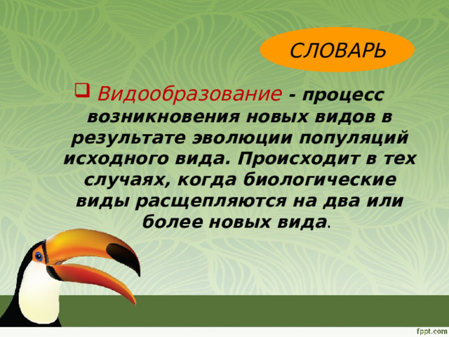 Филетическое видообразование примеры. Экологическое видообразование. видообразование картинки для презентации.