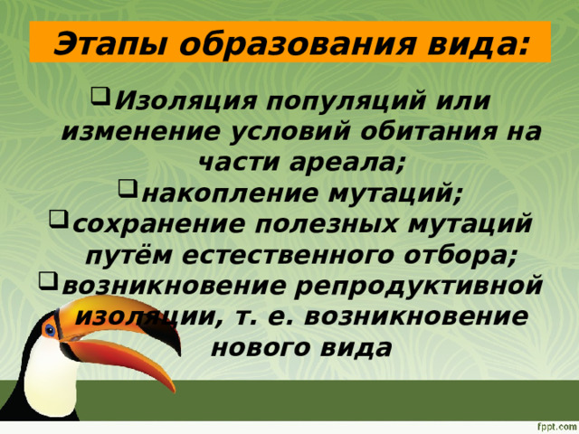 Процесс образования